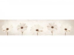 Кухонный фартук глянцевый SP-197