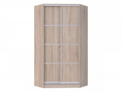 Шкаф-купе Хит-У-24-4-11 с планками