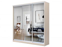 Шкаф-купе Хит 23-18-656 с рисунком 05