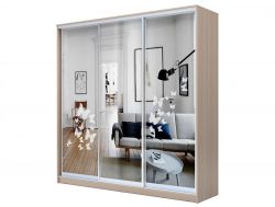 Шкаф-купе Хит 23-20/2-656 рисунок 05