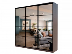 Шкаф-купе Max МШ-23-6-24/2-555