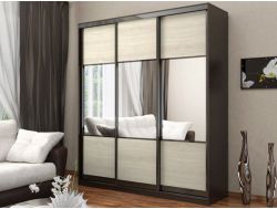 Шкаф купе трехдверный с комбинированными дверями