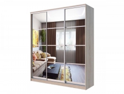 Шкаф-купе Хит 24-4-20-555 с планками
